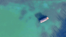 q7.gif