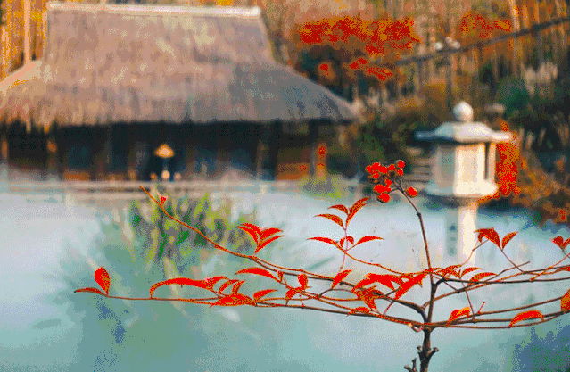 q10.gif